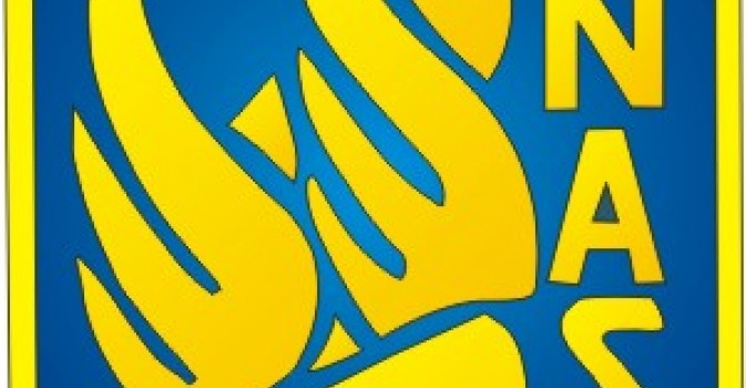 logo anas