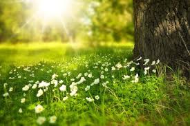 abruzzo primavera