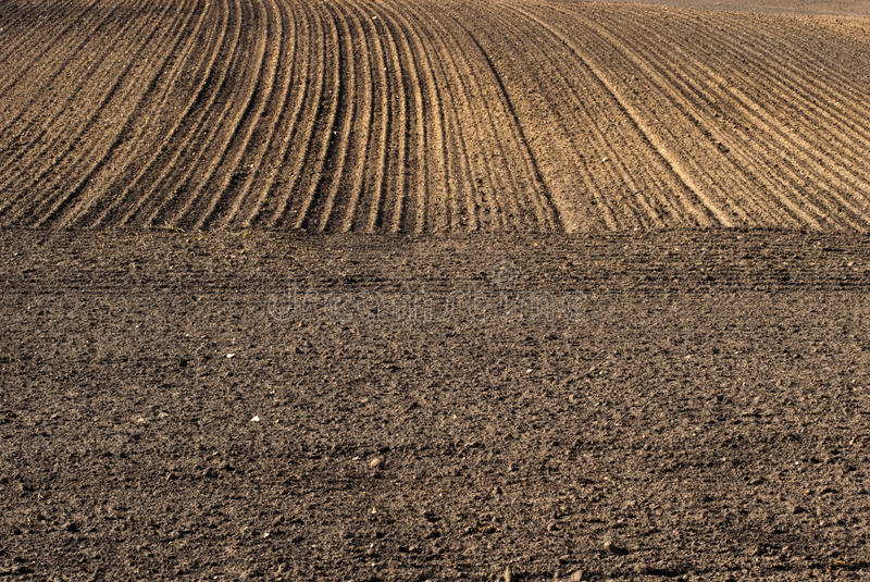 agricoltura