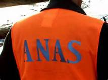 anas logo