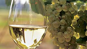 arte e vino