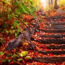 autunno 1