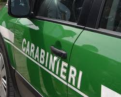 carabinieri forestali