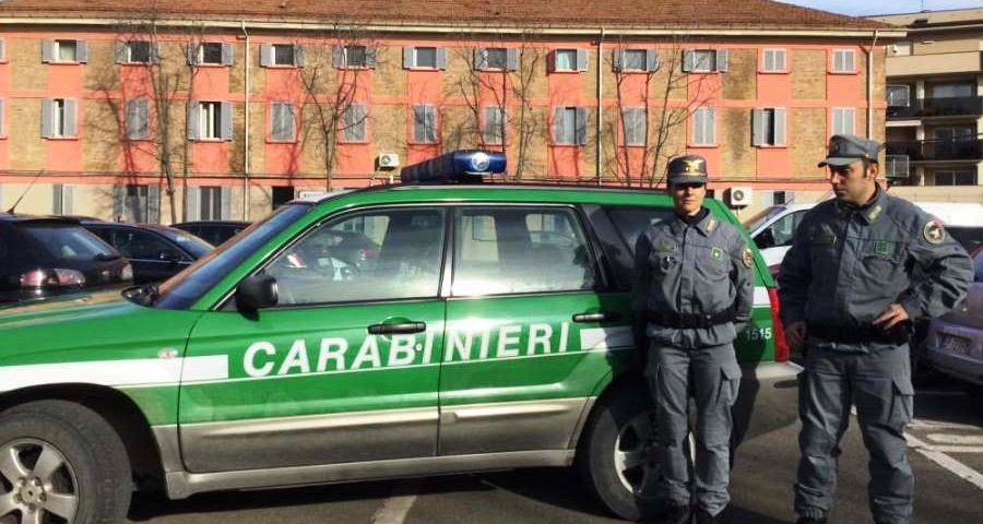 carabinieri forestali