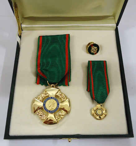 cavaliere della repubblica