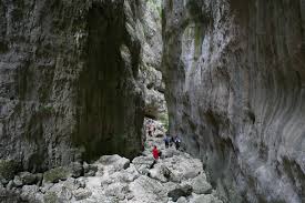 celano gole