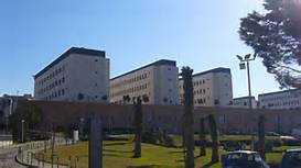 chieti università