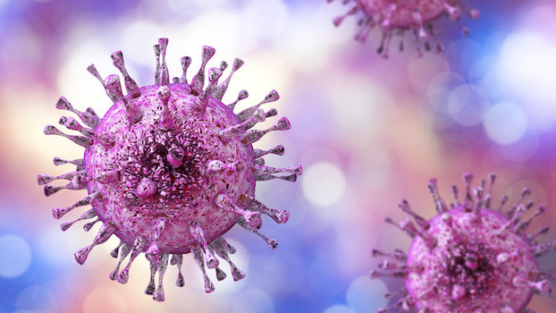 citomegalovirus