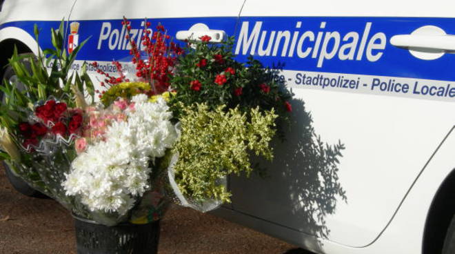 fiorai abusivi