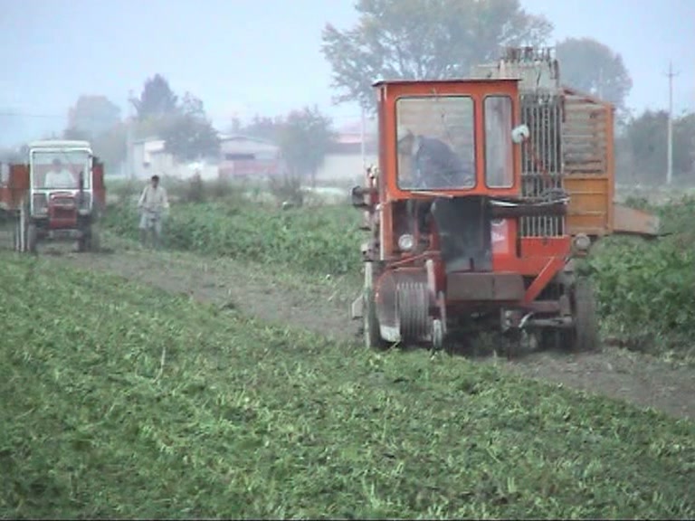 fucino lavorazione terre rep 04