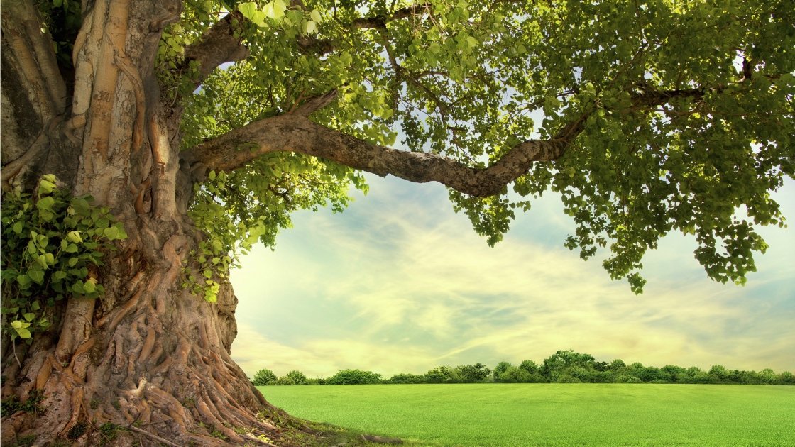 giornata ecologica