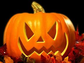 halloween zucca
