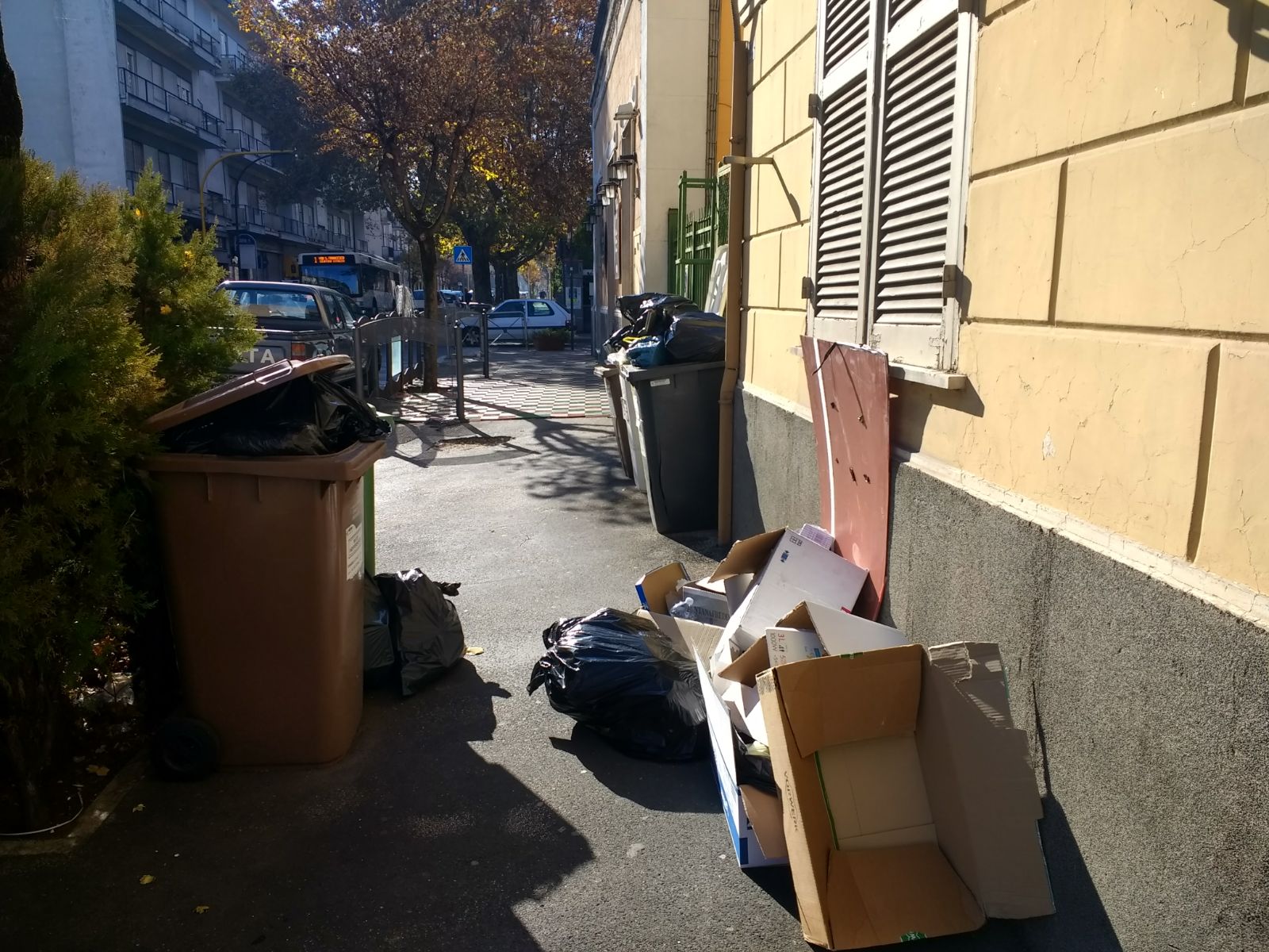 immondizia comune az01