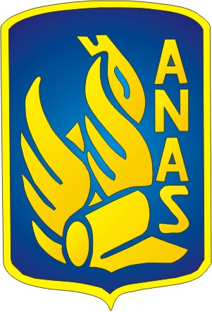 logo anas