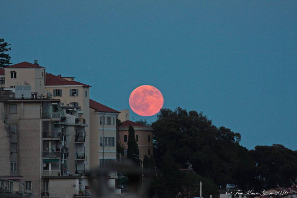 luna rossa