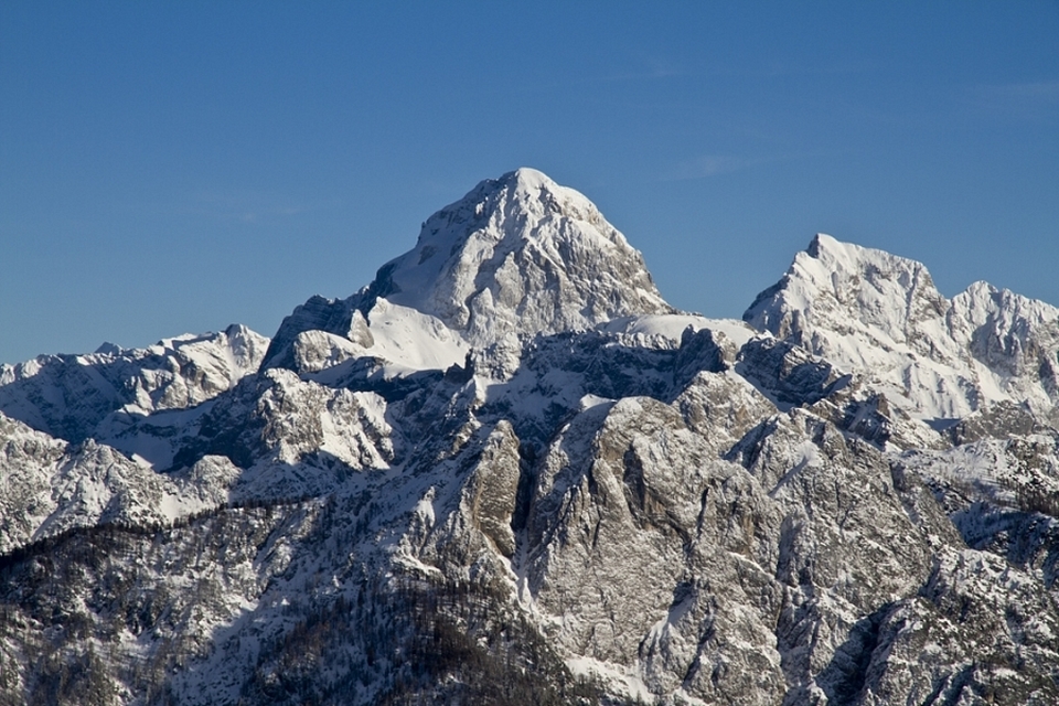 monte lo pago