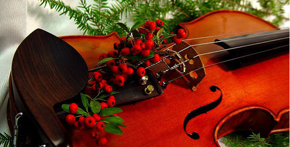 natale violino