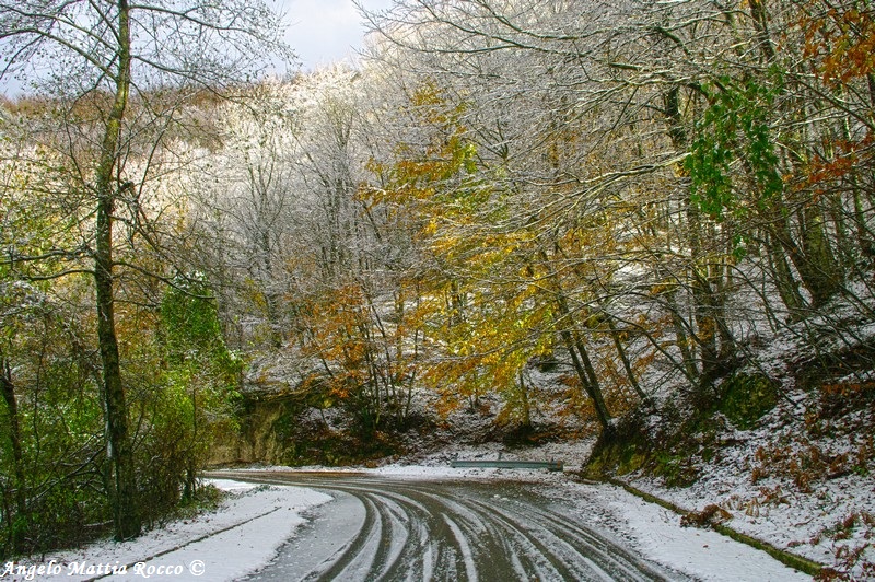 neve appena caduta