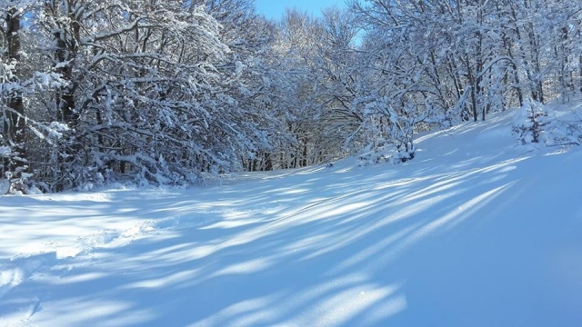 ovindoli neve