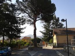 pino massa d albe