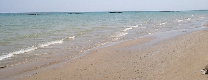 roseto spiaggia cologna