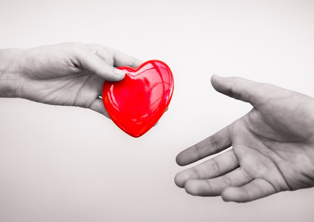sangue donazione cuore