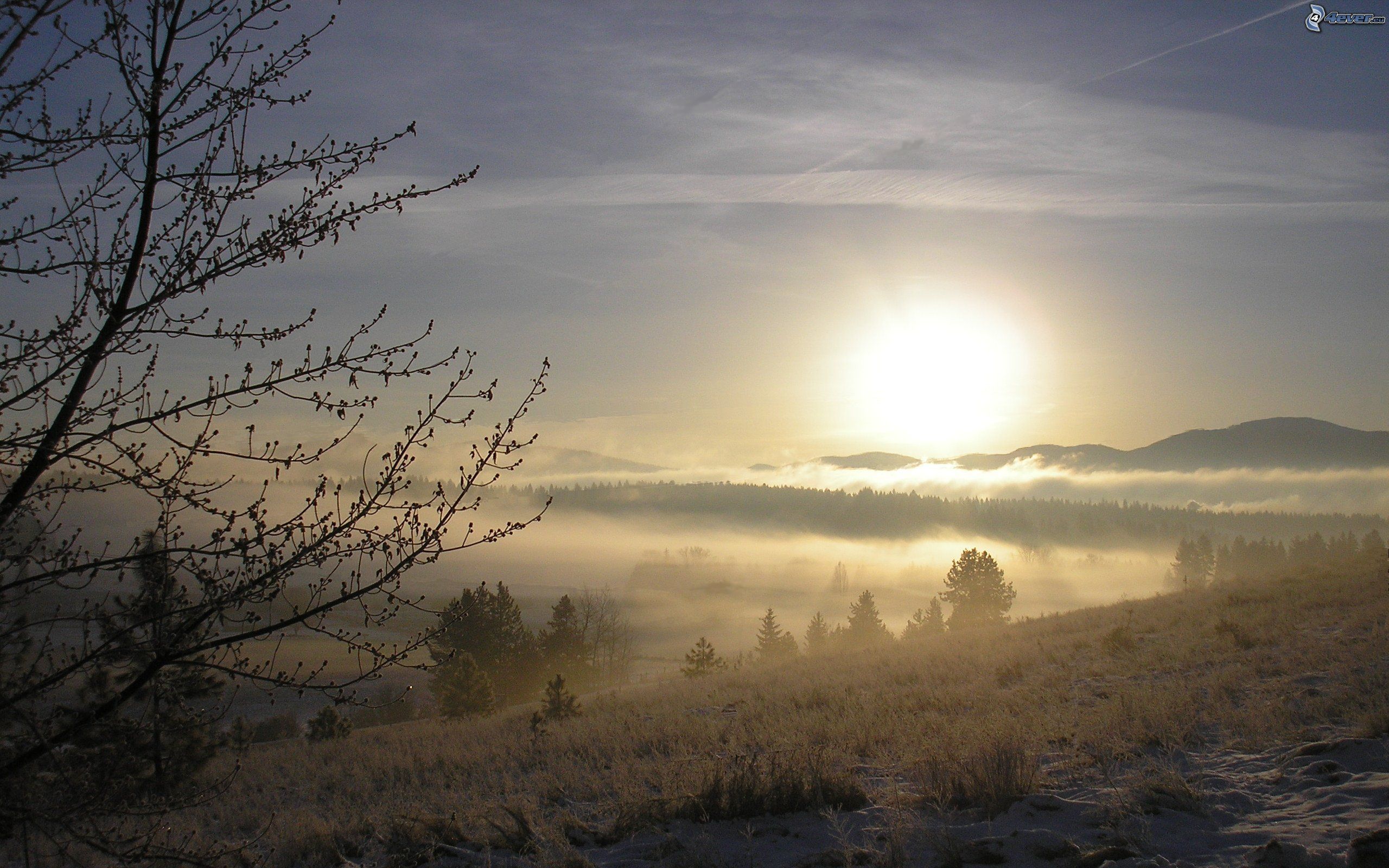 sole invernale