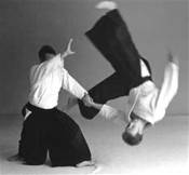 sport aikido