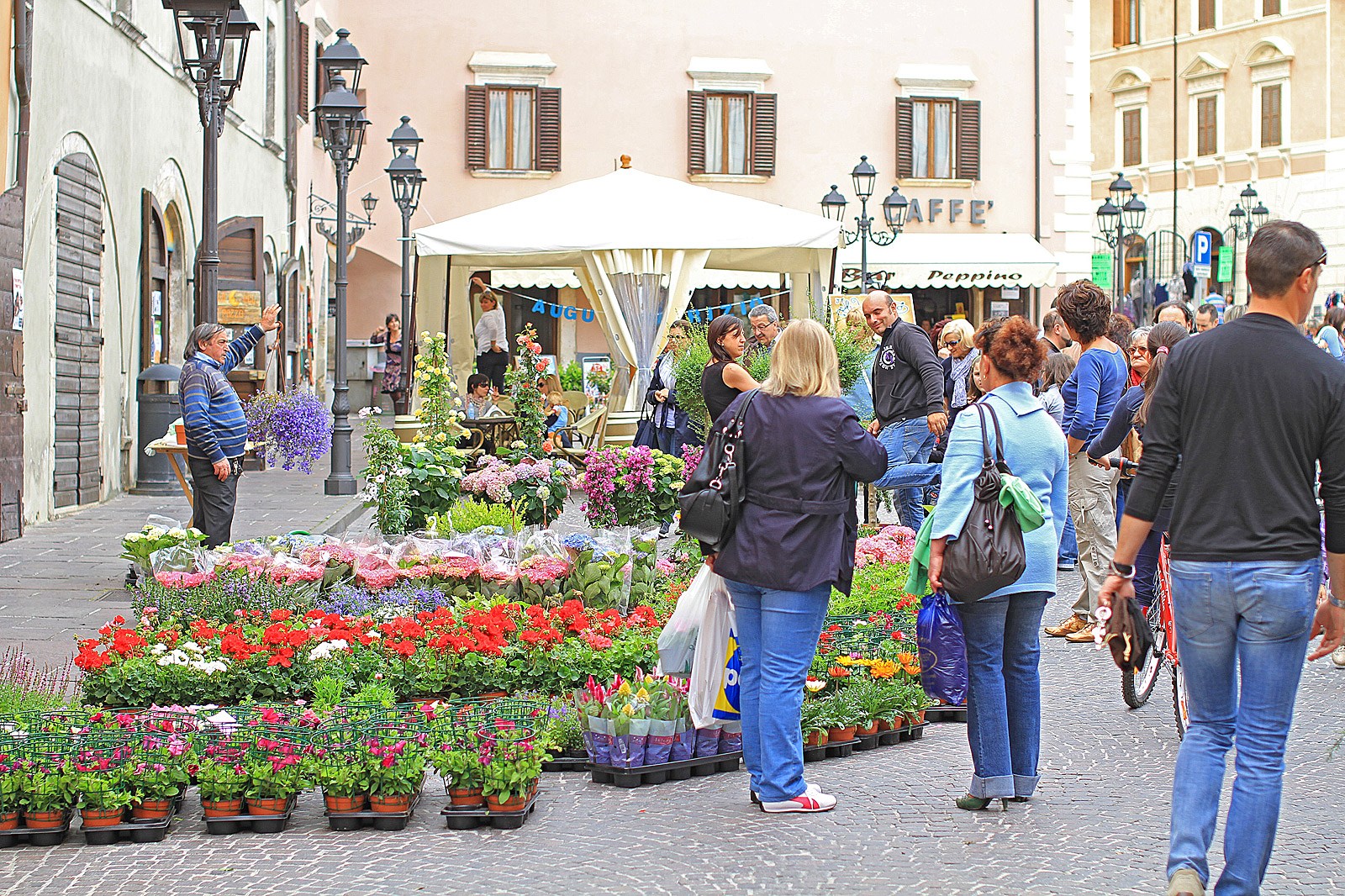 tagliacozzo fiori