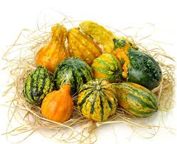 zucche ornamentali